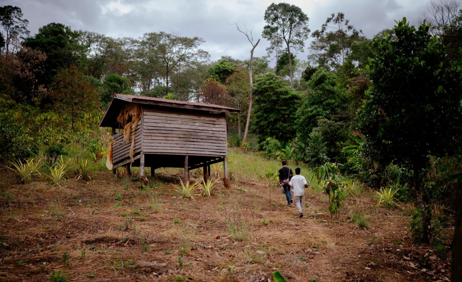 Kaksi miestä kävelee polkua pitkin kohti rinteessä olevaa rakennusta, taustalla viidakkoa.
