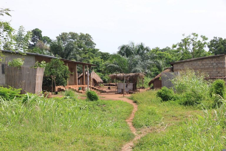 Niittyä, jonka takana muutama savirakennus. Taustalla metsää.