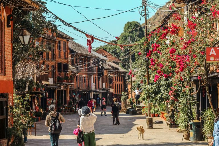 Katunäkymä Nepalista aurinkoisena päivänä. Kadulla ihmisiä ja koiria. Oikealla puolella pinkein kukin kukkiva puu. Kadun yllä runsaasti sähköjohtoja.