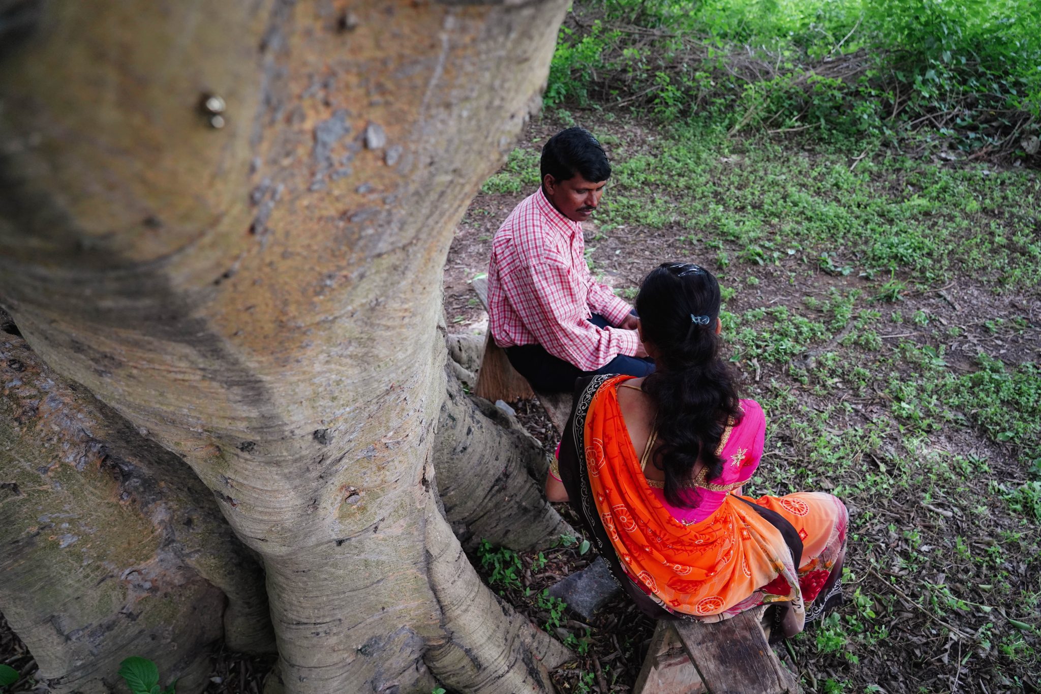 Kauluspaitainen mies ja sariin pukeutunut nainen istuvat penkillä puun alla. Kuva on otettu ylhäältä päin puun rungon vierestä.