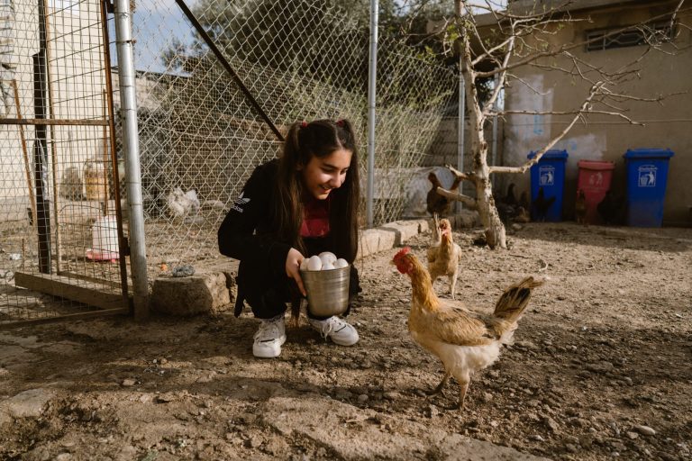 Nuori tyttö kyykkii pihamaalla kana-aitauksessa kanojen keskellä ja pitää munakoria kädessään.