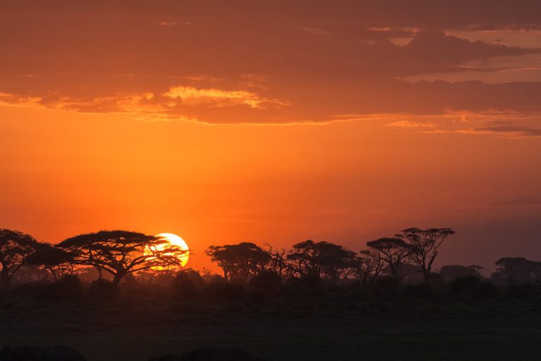afrikkalainen auringonnousu