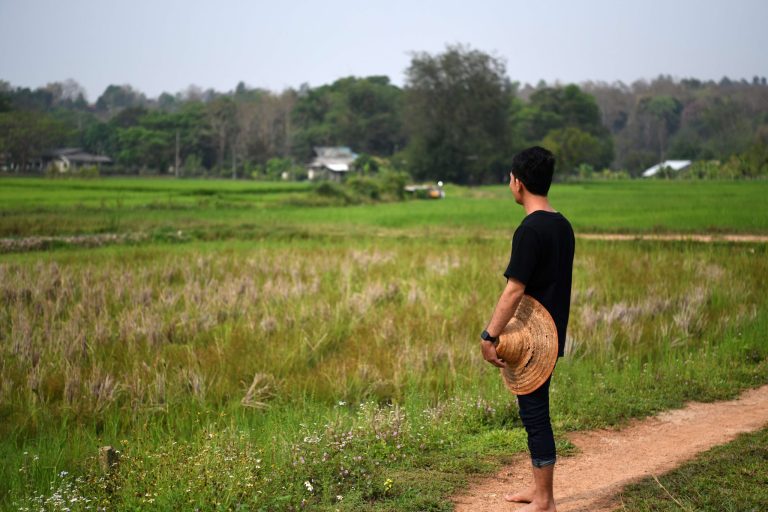 Nuori mies seisoo keskellä riisipeltoja menevällä tiellä.