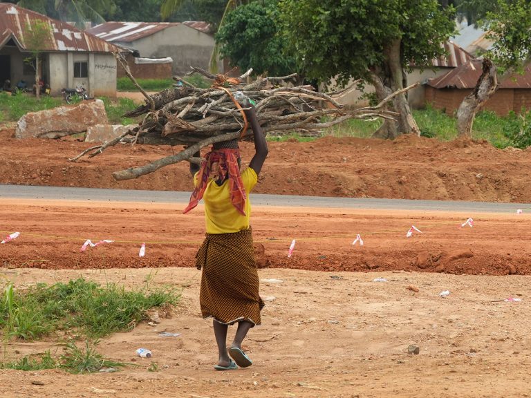 Nigerialainen nainen kantaa suurta määrää polttopuuta päänsä päällä.