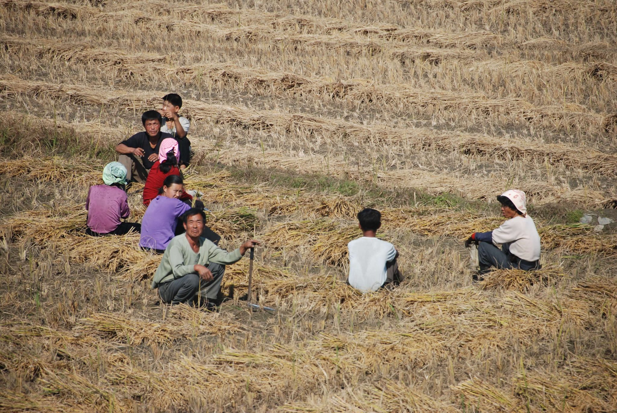Ihmisiä istuu pellolla pitämässä taukoa peltotöistä.