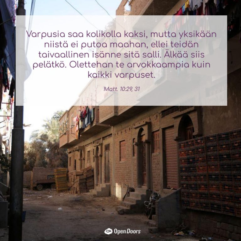 Egypti rukous Matt. 10:29, 31