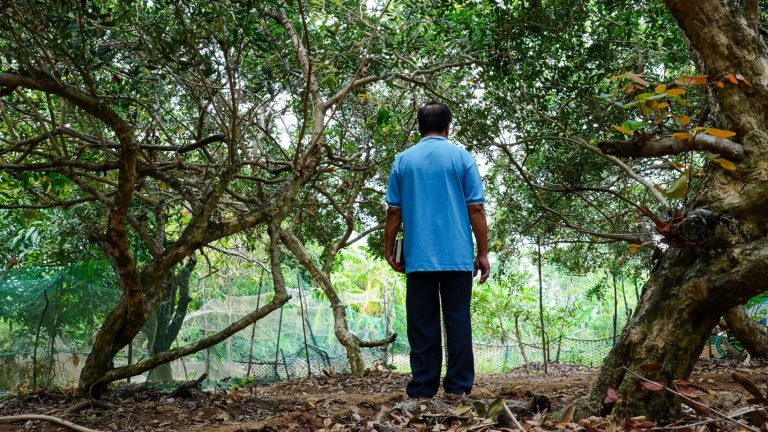 Mies selin kameraan, seisoo puiden katveessa.