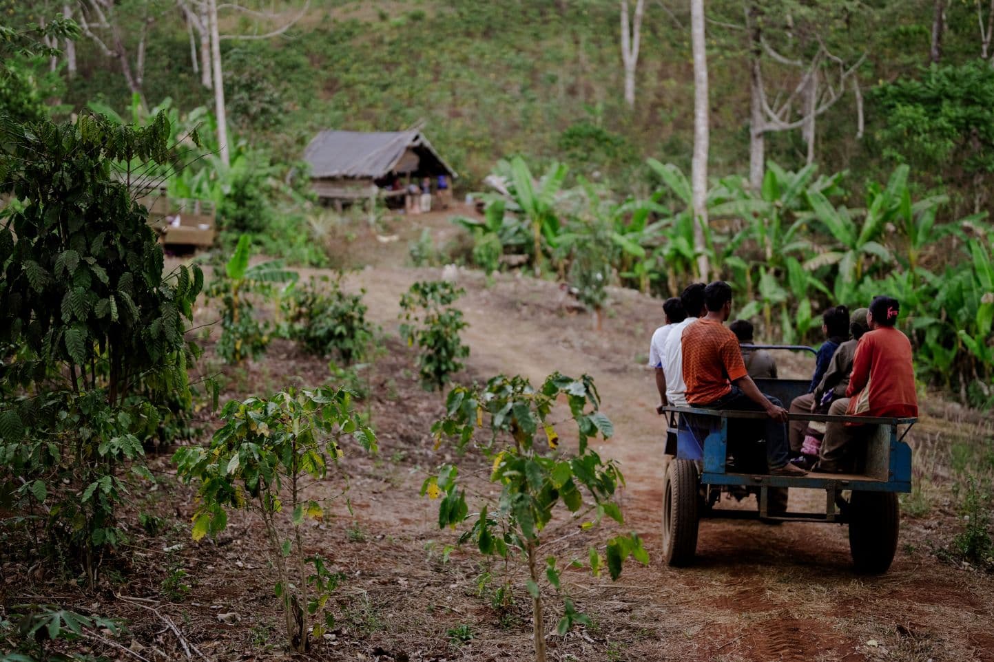 Kuusi ihmistä istuu pienen kulkuneuvon peräkärryssä tiellä, joka johtaa taka-alalla näkyvän rakennuksen luo.