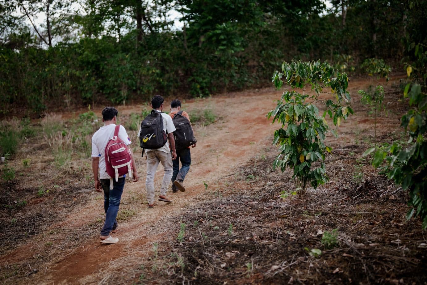 Kolme miestä kävelee jonossa reput selässä polkua pitkin kamerasta pois päin.