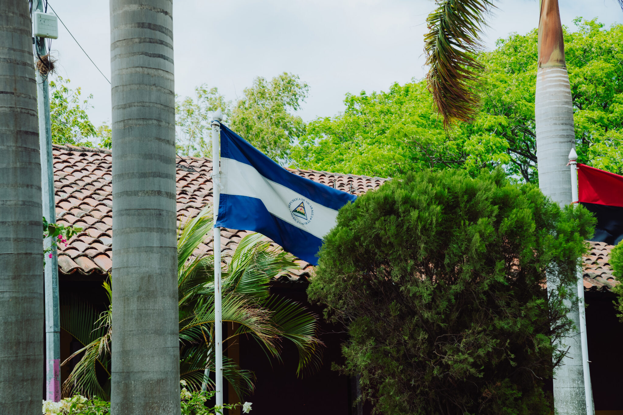 Nicaraguan lippu tangossa talon edessä, ympärillä palmupuita.