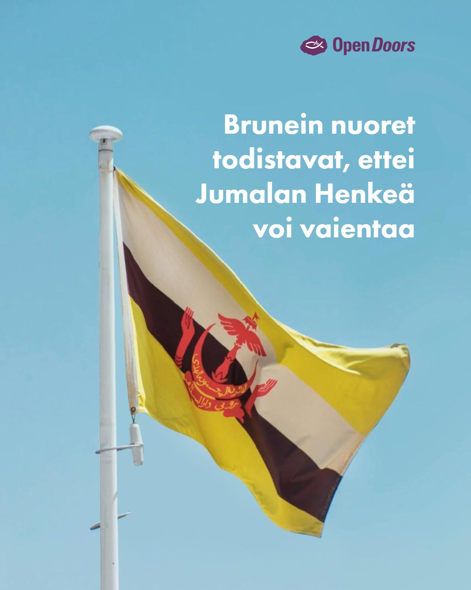 Brunein nuorten rohkeus