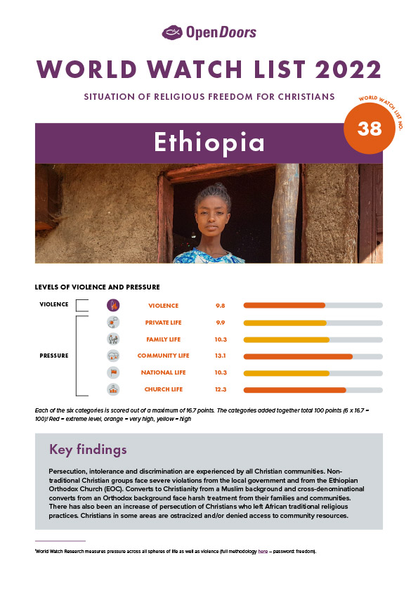 Lataa englanninkielinen maaraportti etiopia
