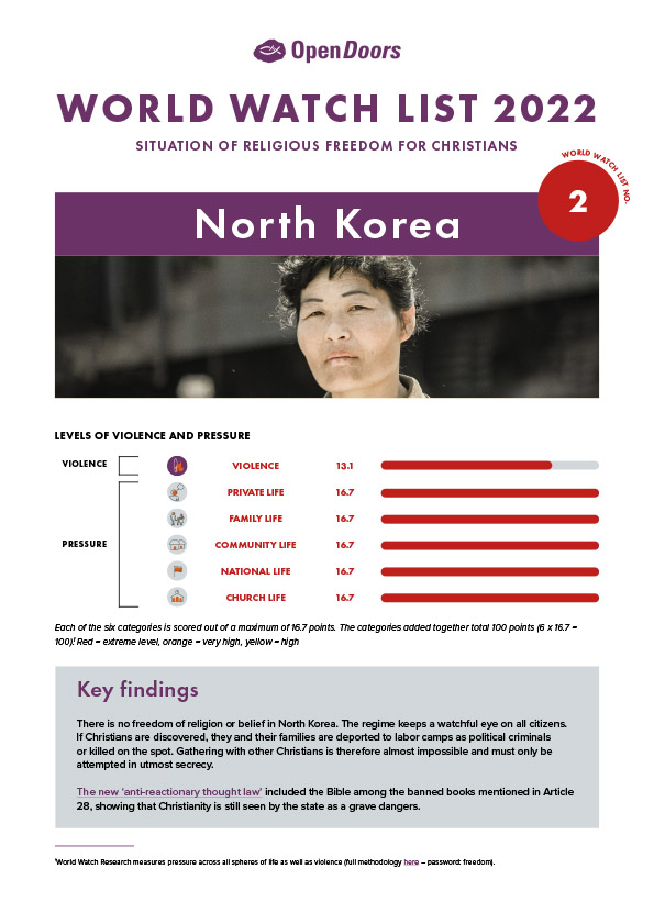 Lataa englanninkielinen maaraportti pohjois-korea