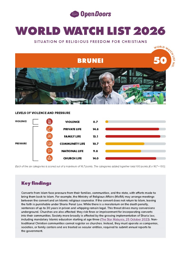 Lataa englanninkielinen maaraportti brunei