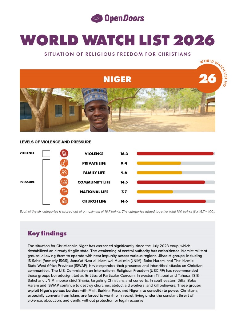 Lataa englanninkielinen maaraportti niger